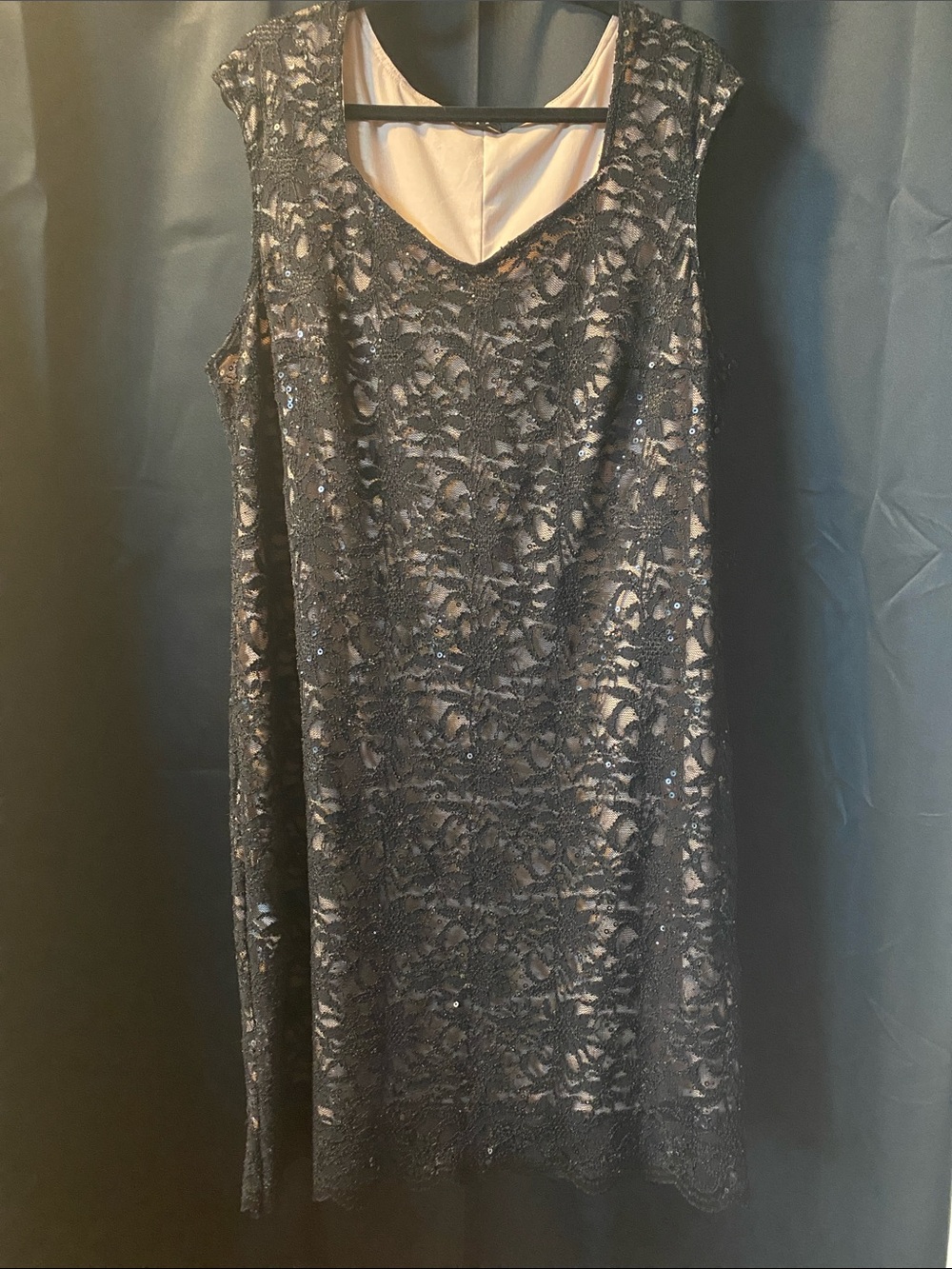 Tiana B. Black Lace Dress with Nude Underlay